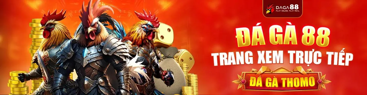 Đá Gà Trực Tuyến Wynn08 Link Vào