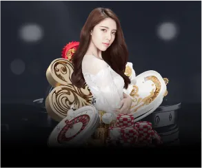 Biểu đồ các loại cookie được wynn08 link vào sử dụng